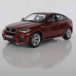 BMW X6 M - 2010